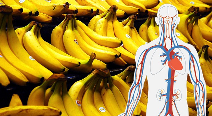 a-banana-da-muita-energia-veja-14-beneficios-que-fazem-dela-uma-otima-aliada-para-a-saude